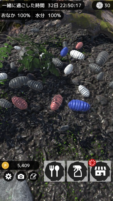 ダンゴムシといっしょ - 癒し系放置育成ゲームのスクリーンショット_4