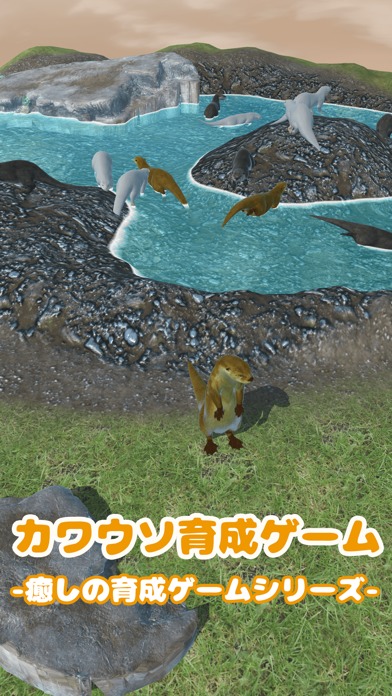 カワウソ育成ゲームのスクリーンショット_1