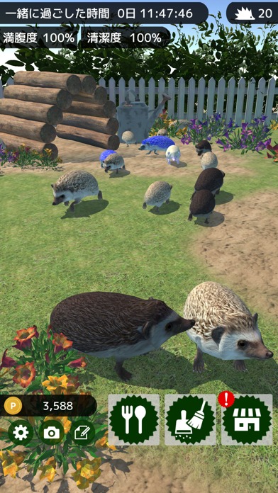 ハリネズミといっしょ - 癒し系放置育成ゲームのスクリーンショット_4
