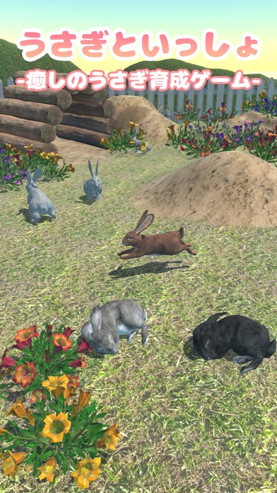 うさぎといっしょのスクリーンショット_1