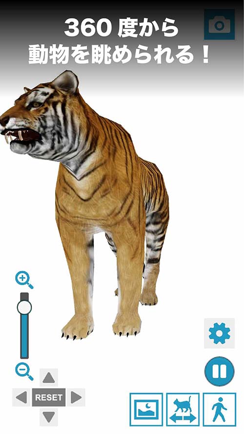 動物ポーズ図鑑 イラスト用のスクリーンショット_1