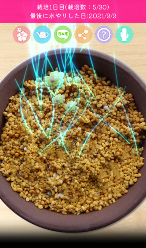 ムシトリスミレ栽培シミュレーションのスクリーンショット_1