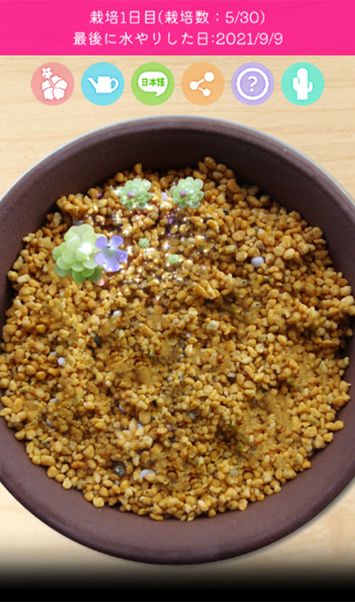 ムシトリスミレ栽培シミュレーションのスクリーンショット_2