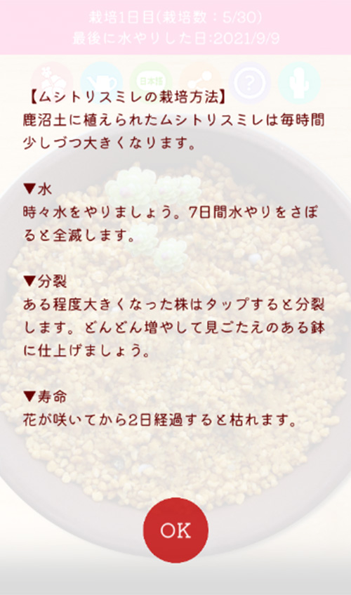 ムシトリスミレ栽培シミュレーションのスクリーンショット_5