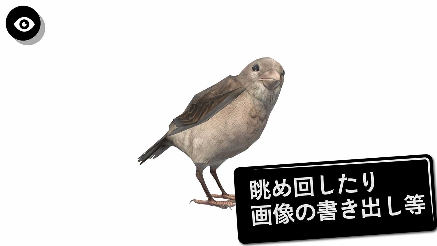 鳥3D資料のスクリーンショット_4