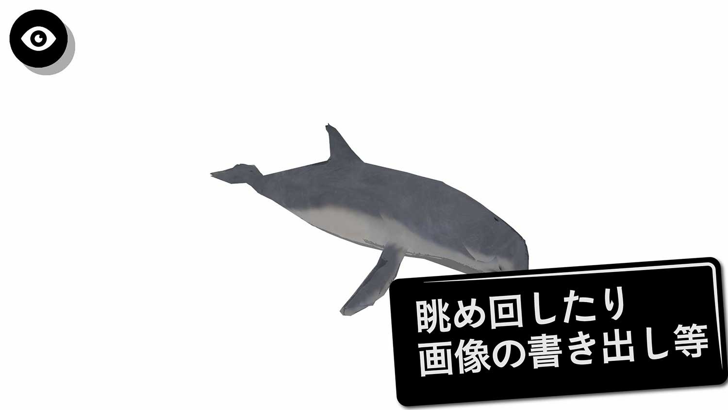 魚3D資料のスクリーンショット_4