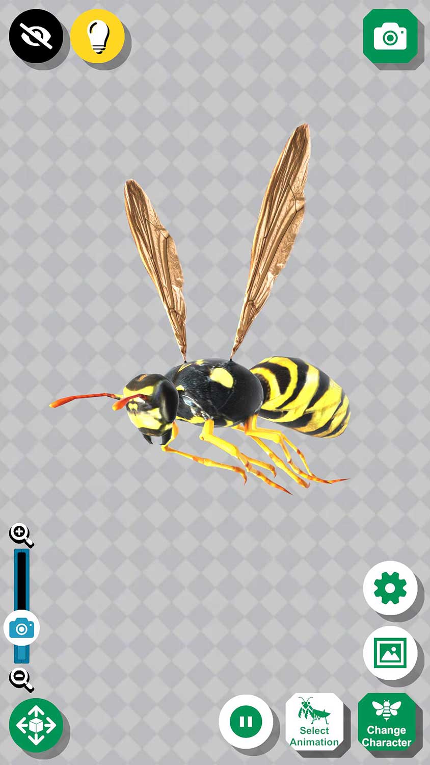 昆虫3D資料のスクリーンショット_1