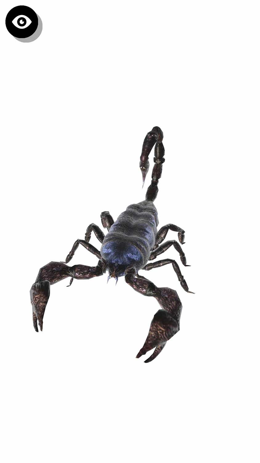 昆虫3D資料のスクリーンショット_4