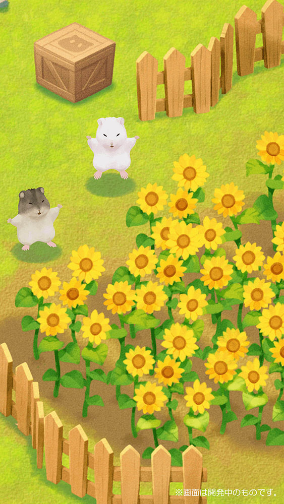 ハムスターの里のスクリーンショット_3