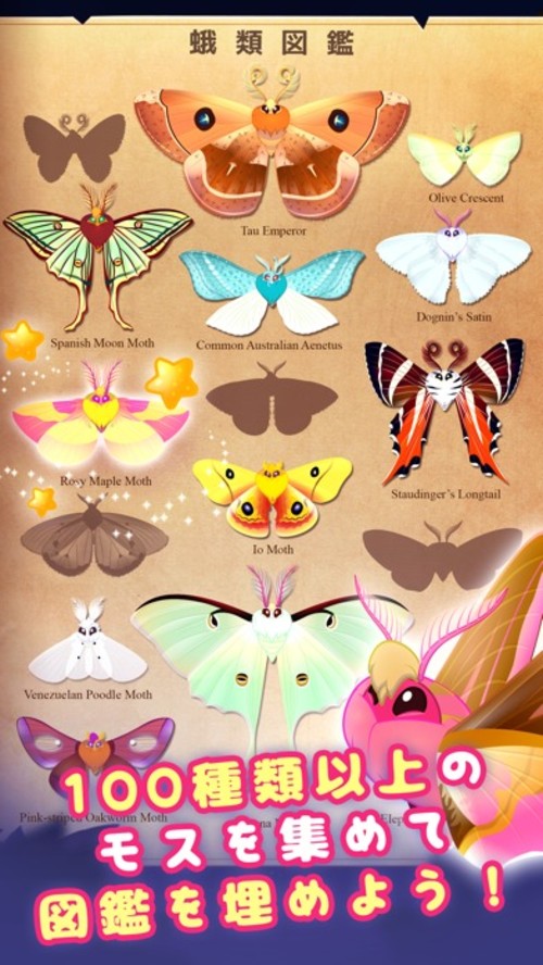 フラッター:スターライトのスクリーンショット_1