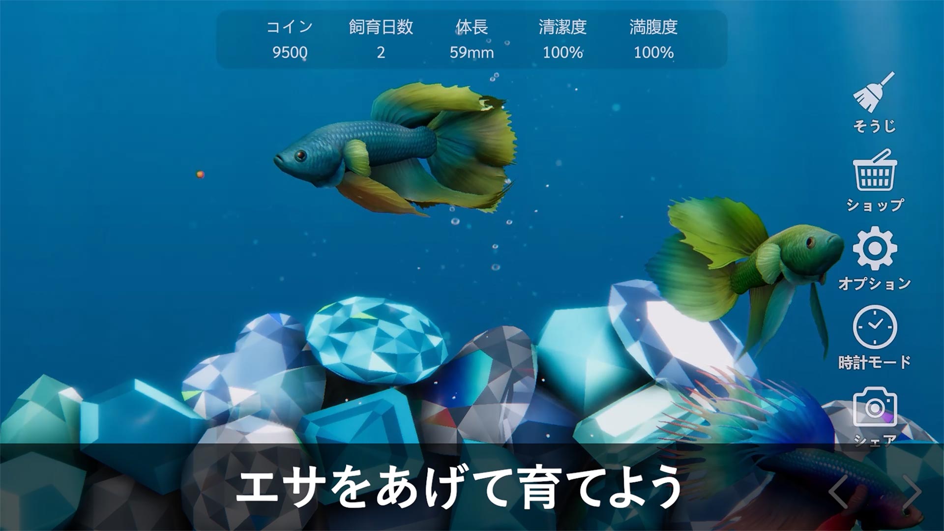 ベタリウム - 癒しの熱帯魚育成のスクリーンショット_2