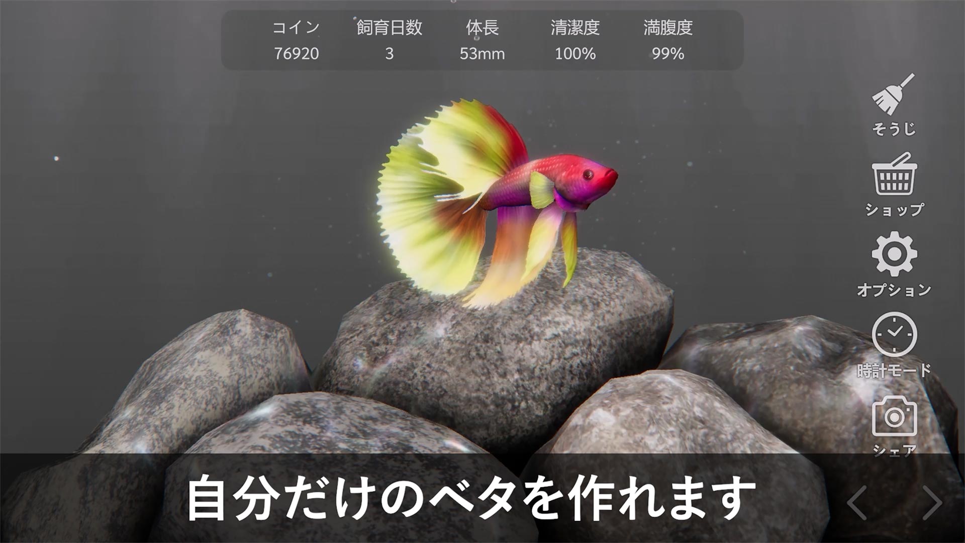 ベタリウム - 癒しの熱帯魚育成のスクリーンショット_5