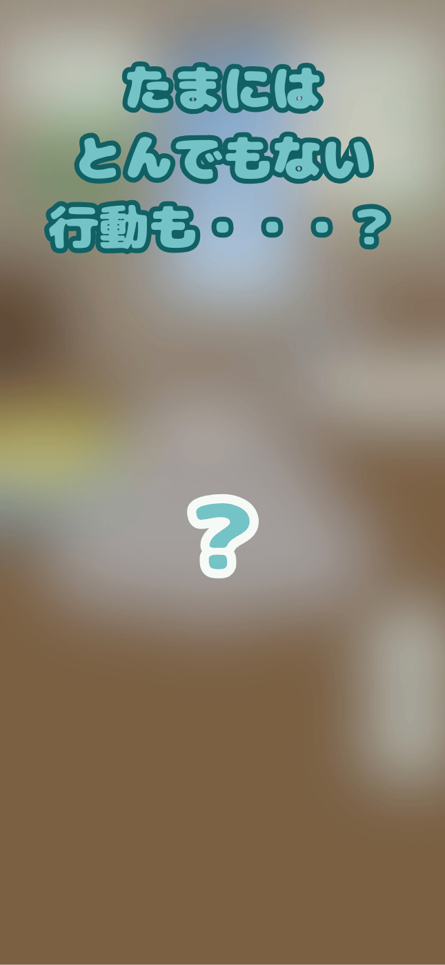 Zooとライフ　ちびコアラと一緒　-癒しのかわいい動物育成ゲーム-のスクリーンショット_4