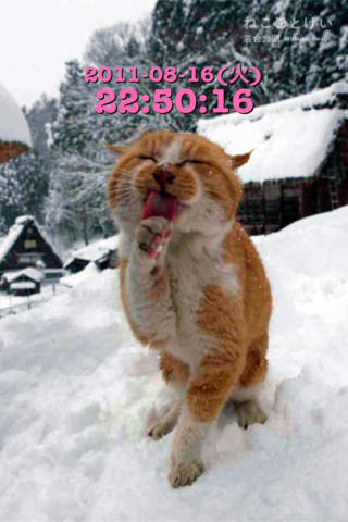 岩合光昭のねこのとけいのスクリーンショット_2