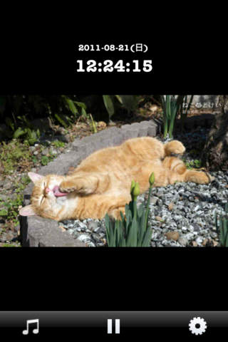 岩合光昭のねこのとけいのスクリーンショット_4