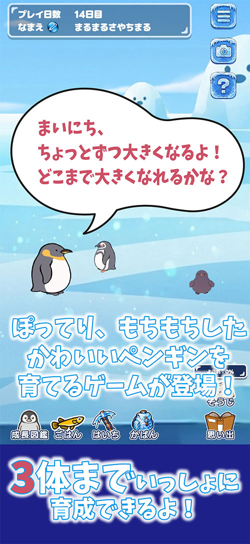のんびり癒しのどうぶつ村 もちもちペンギン育成ゲームのスクリーンショット_2