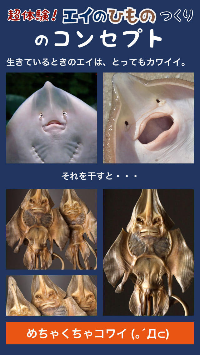 超体験！エイのひものつくり　LINEや掲示板で「ヤバい！」と話題のエイの干物が無料の放置型育成ゲームに！なめこ、モンスト、アルパカファンは必見のスクリーンショット_5