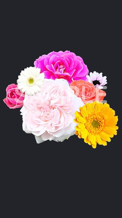 F×Fのスクリーンショット_3