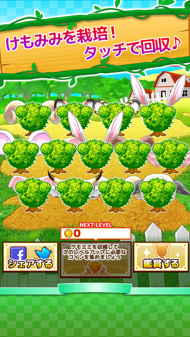 けもみみ農園のスクリーンショット_1
