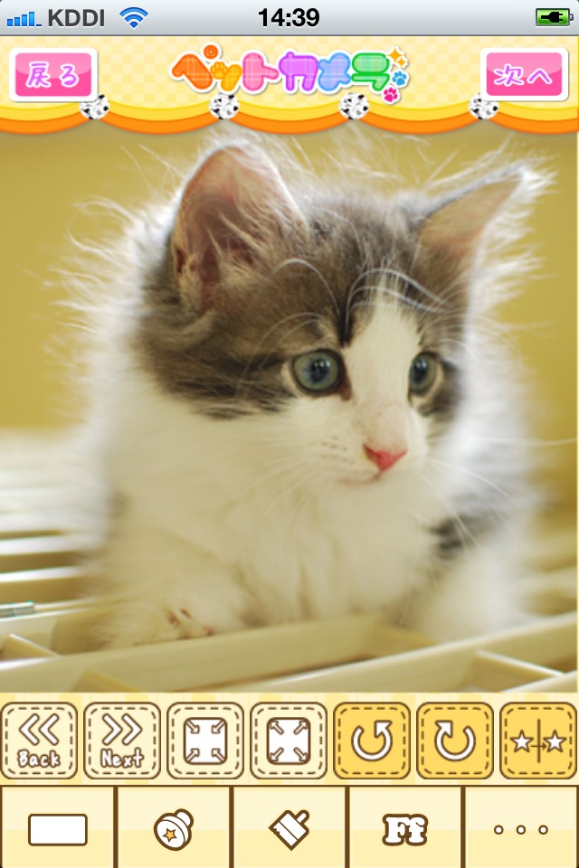 ペットカメラ　いぬ・ねこ・ペットの写真をかわいくデコろうのスクリーンショット_2