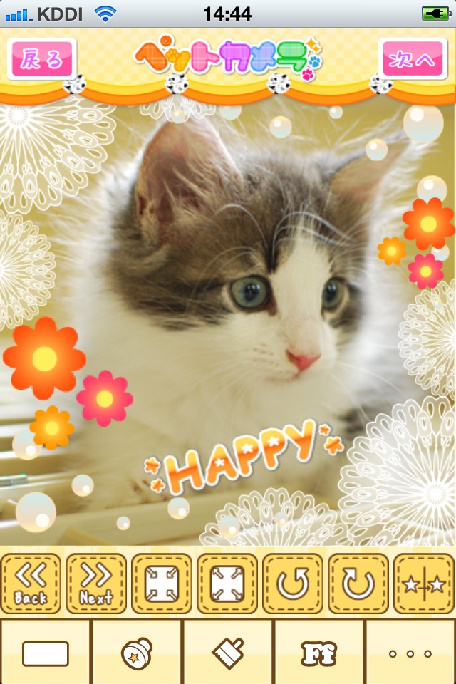 ペットカメラ　いぬ・ねこ・ペットの写真をかわいくデコろうのスクリーンショット_4