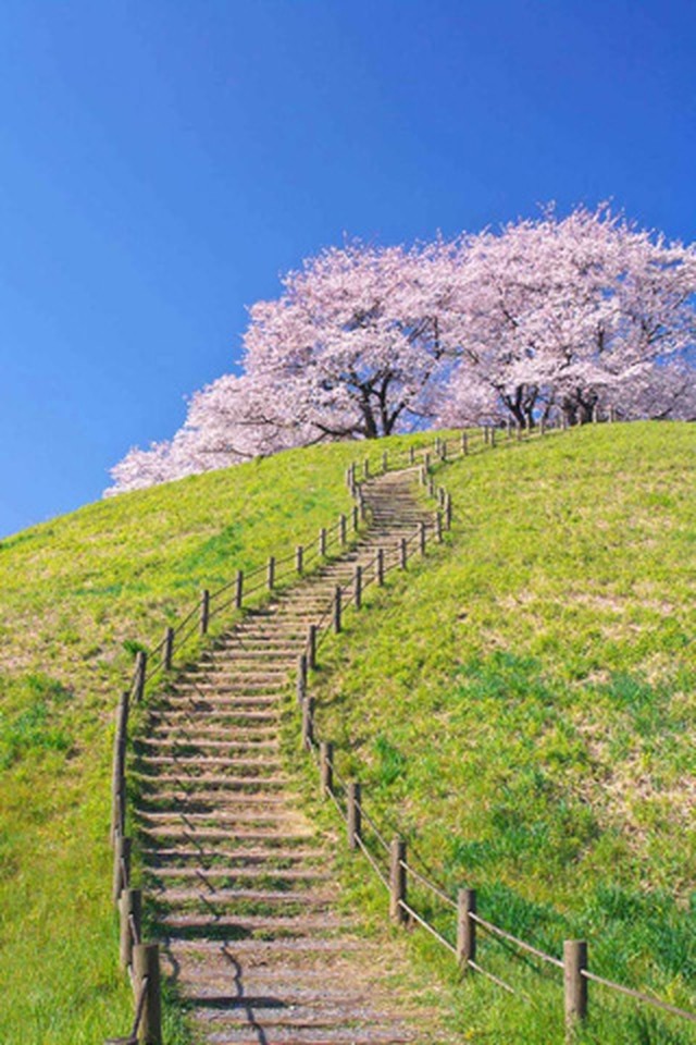 心を動かす 匠の風景のスクリーンショット_1