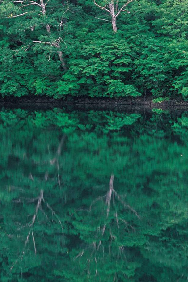 自然/風景 写真集のスクリーンショット_2