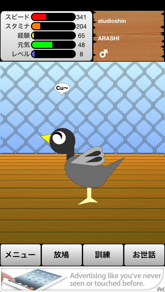 レース鳩！のスクリーンショット_1