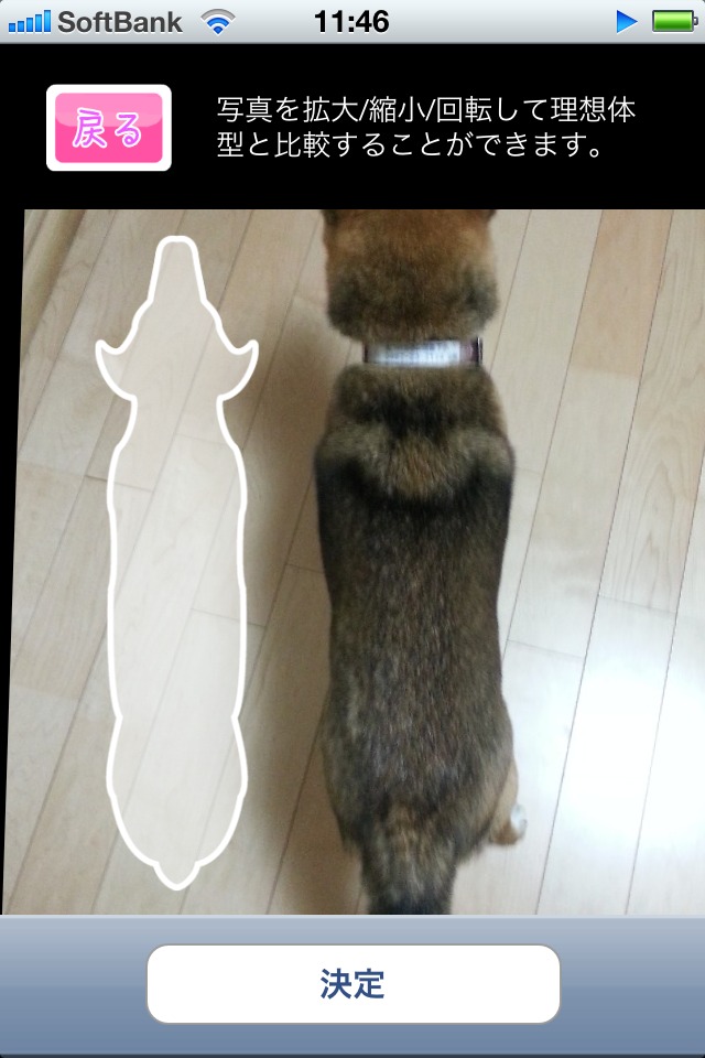 ペットスマイル 健康手帳のスクリーンショット_2