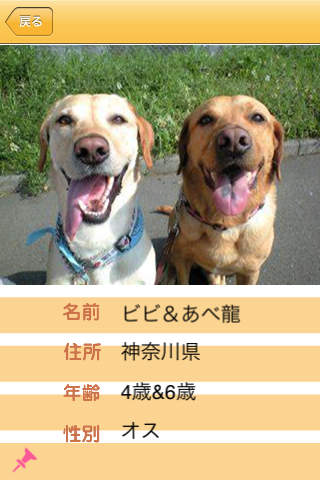 いぬクロのスクリーンショット_3