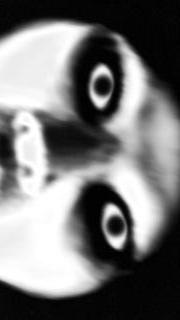 霊音カメラのスクリーンショット_3