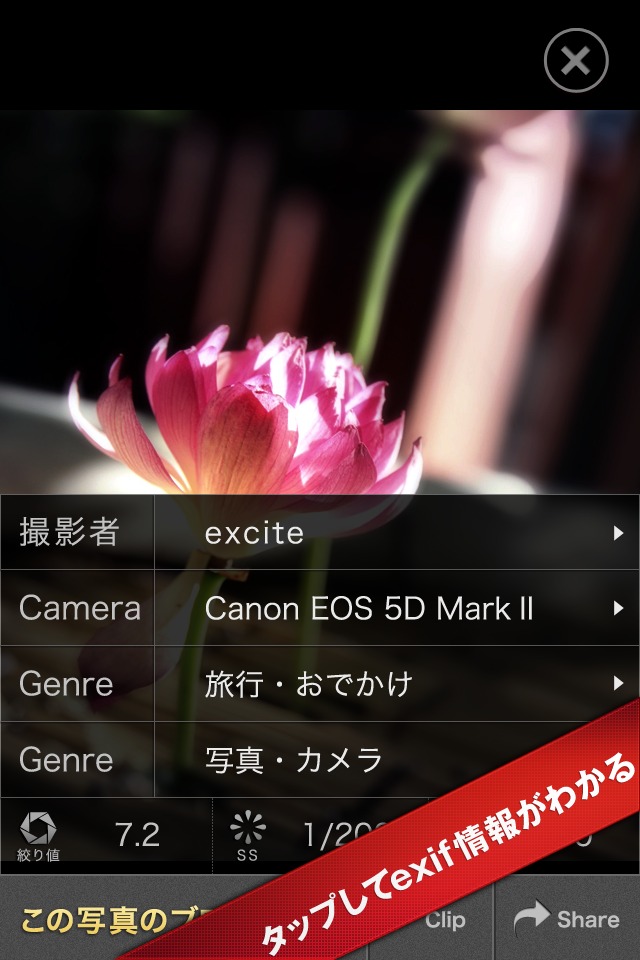 みんなの一眼レフ写真：Photo Storiesのスクリーンショット_2