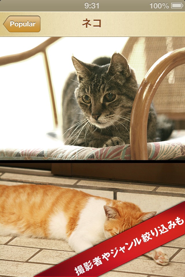 みんなの一眼レフ写真：Photo Storiesのスクリーンショット_3