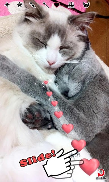 手裏剣くん【AR】のスクリーンショット_3