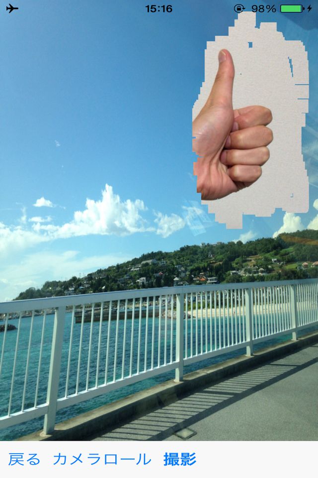 camerinのスクリーンショット_1