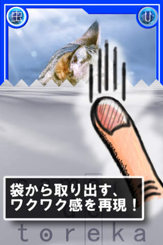 カメラでトレカ Liteのスクリーンショット_2