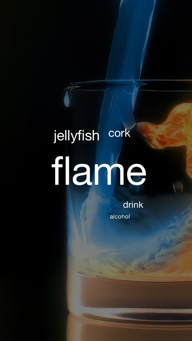 Imglish - イメージで英単語を学習のスクリーンショット_5