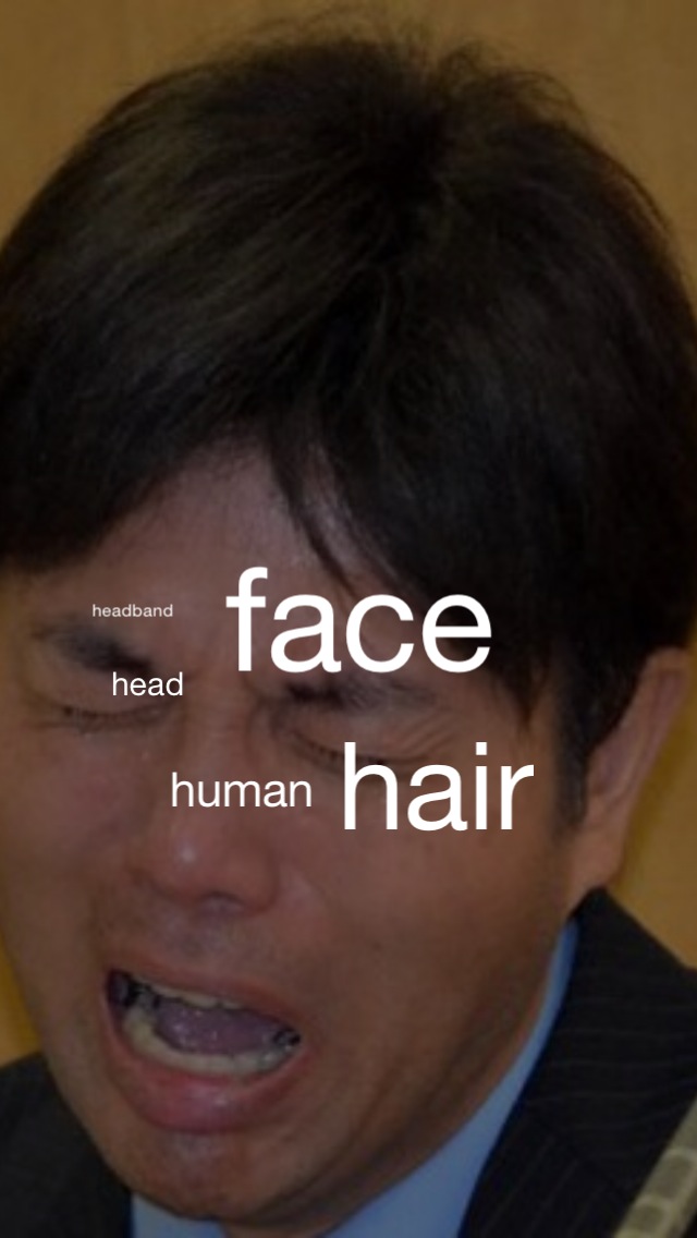 英語カメラ 撮ったシーンを英語に翻訳！ノリで翻訳！のスクリーンショット_2