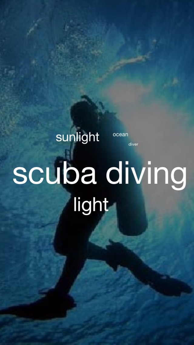 英語カメラ 撮ったシーンを英語に翻訳！ノリで翻訳！のスクリーンショット_4