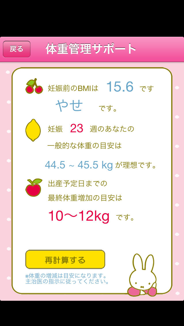 ミッフィーのマタニティBOOKのスクリーンショット_5