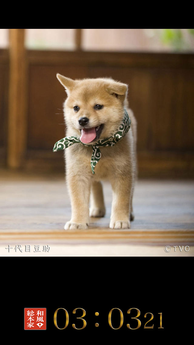 豆助～和風総本家 八、九、十代目豆助写真集～のスクリーンショット_4