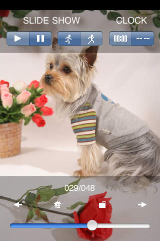 コロクのアルバム（犬の写真集）のスクリーンショット_4
