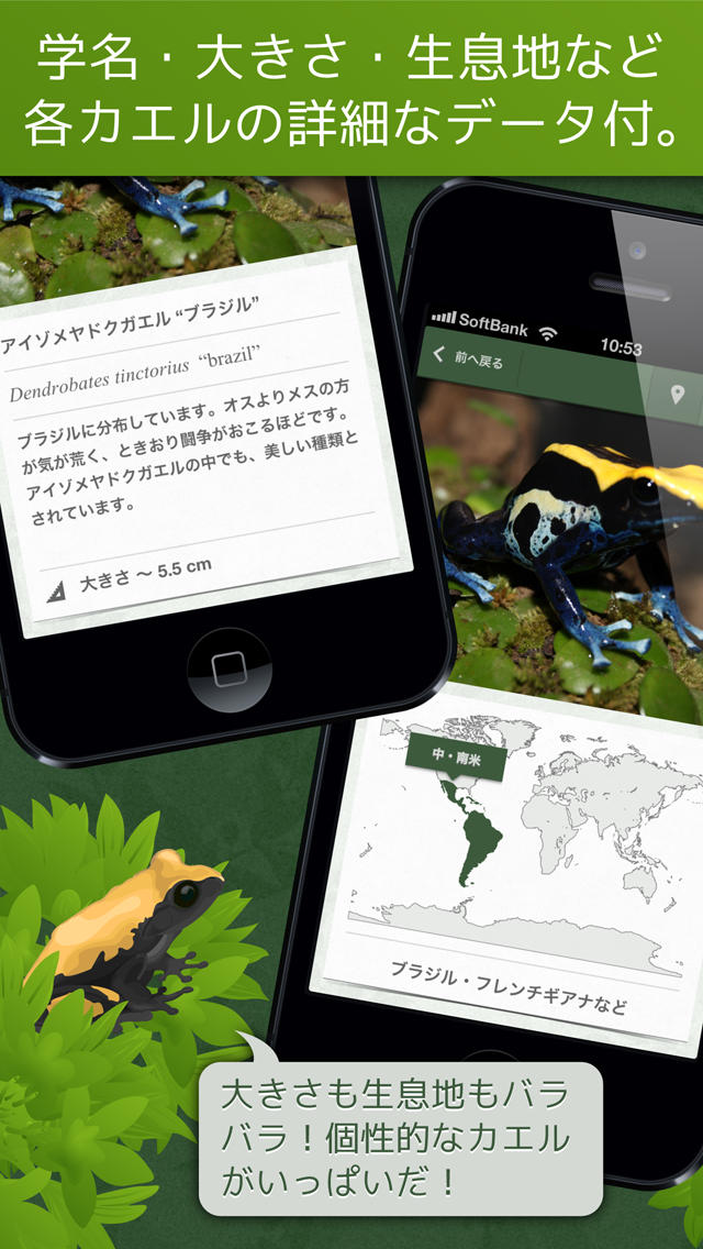 あわしま世界のカエル図鑑FREEのスクリーンショット_3
