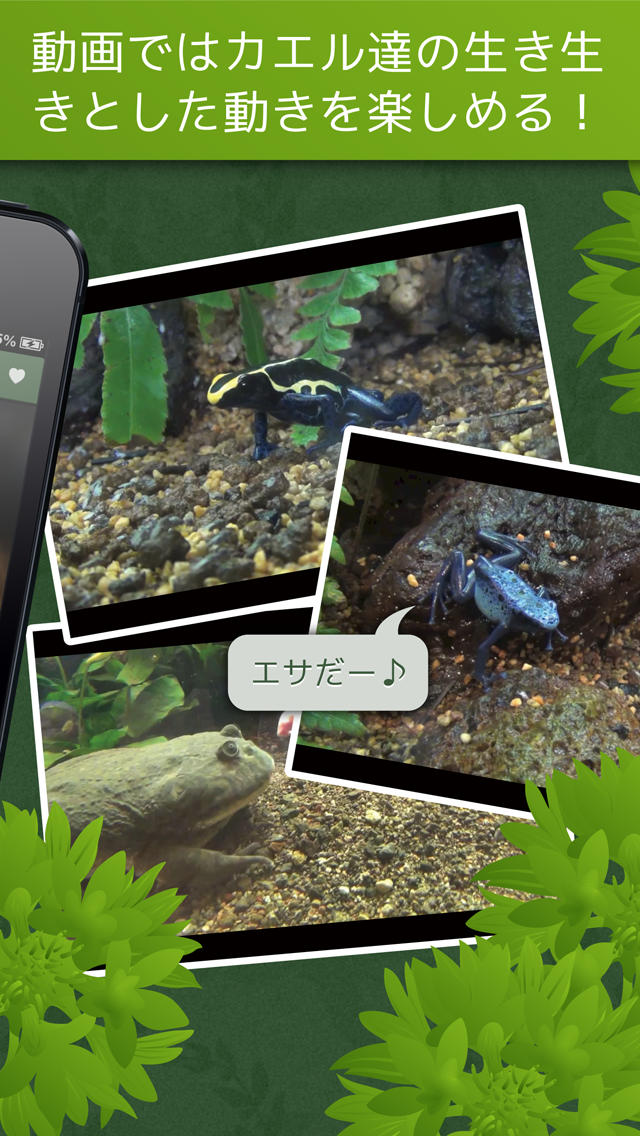 あわしま世界のカエル図鑑FREEのスクリーンショット_4