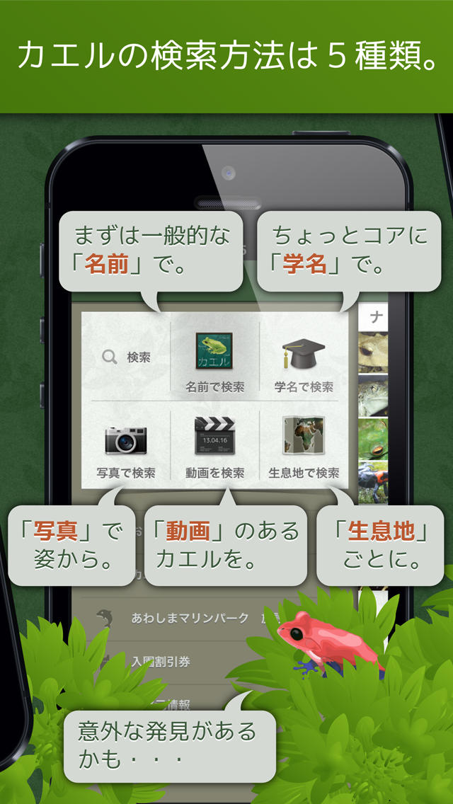 あわしま世界のカエル図鑑のスクリーンショット_2