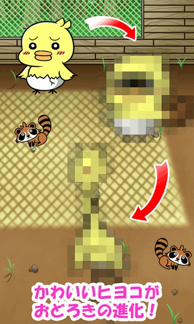 ぴよパラ～私とひよこのある愛の形【育成ゲーム】のスクリーンショット_5