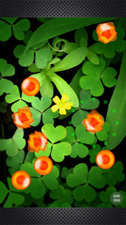 イクラプチプチのスクリーンショット_3