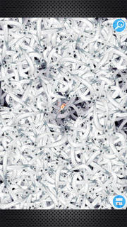 みんなのしらすのスクリーンショット_4