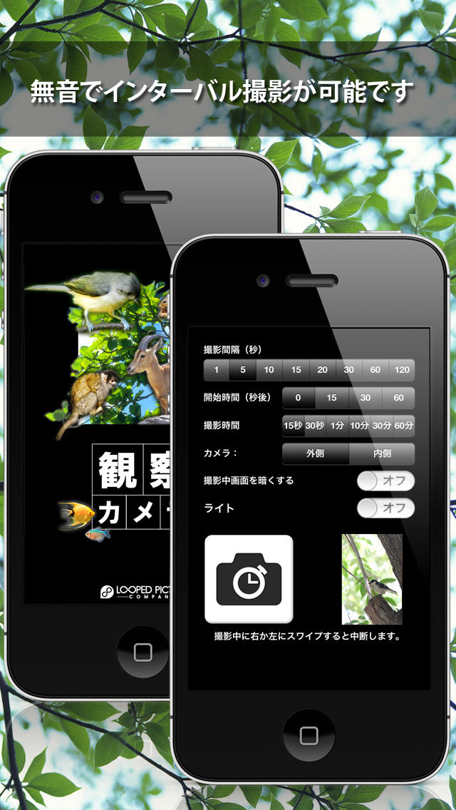 観察カメラ (静音)のスクリーンショット_1