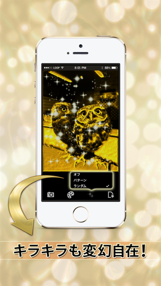 ゴールデンカメラ（金カメ！）のスクリーンショット_3